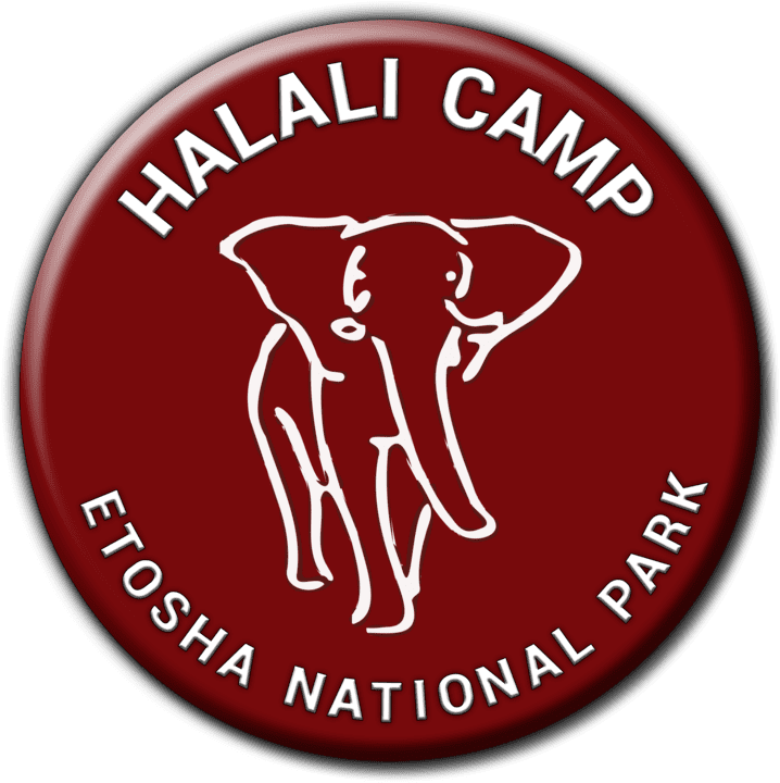 Halali Camp - Camping and Caravanning Accommodation in Etosha, Namibia