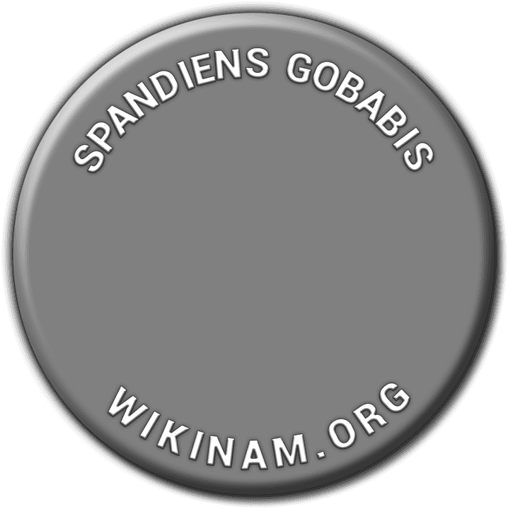 Spandiens Motors - Breakdown Services in Gobabis, Namibia